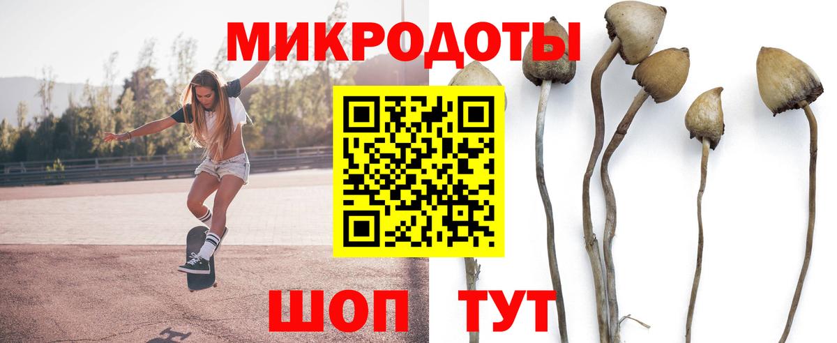 Ревда  Галлюциногенные грибы прущие грибы  Вход с VPN 